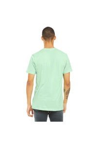 Canvas Mens Triblend Crew Neck Plain Short Sleeve T-Shirt (Mint Triblend)