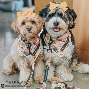 Bandana - Friends (Yellow)