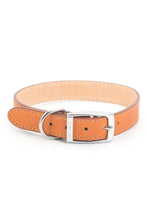 Load image into Gallery viewer, Ancol Leather Dog Collar (Tan) (12 Inch)