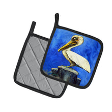 Load image into Gallery viewer, Pelican Texas Pete Pair of Pot Holders