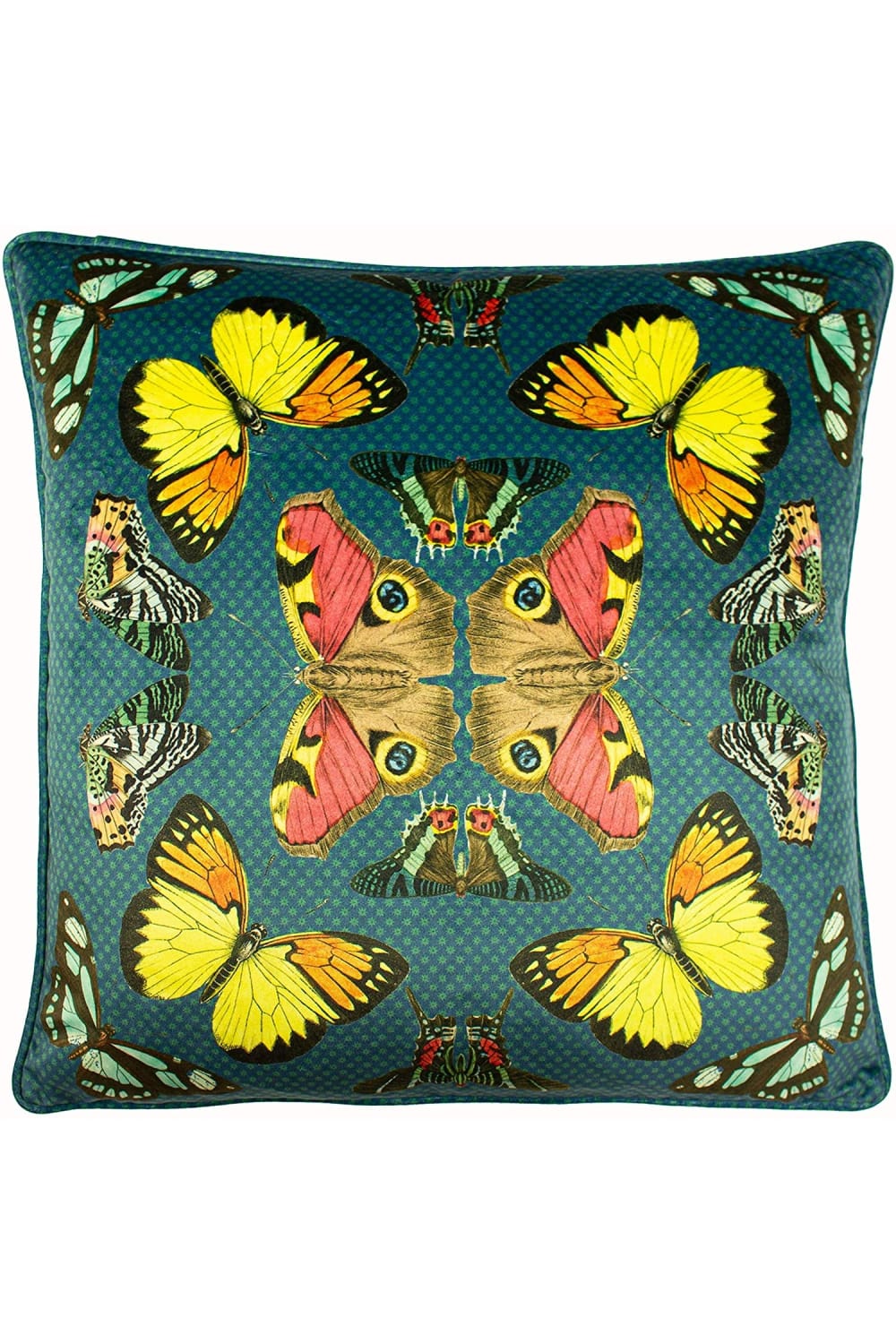 Paoletti Butterfly Cushion Cover (Teal) (One Size)