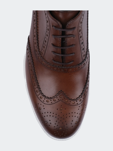 Euronapa Wingtip Sneakers