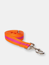 Load image into Gallery viewer, Pink Stripe Leash