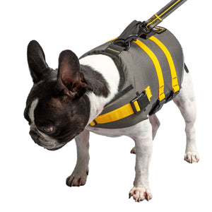 US Army Dog Life Vest