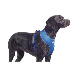 Ancol Pet Products Comfort Mesh Dog Harness (Blue) (Medium)