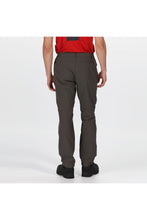 Load image into Gallery viewer, Regatta Mens Highton Hiking Trousers (Magnet)