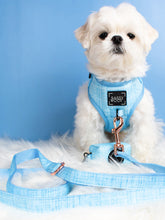 Load image into Gallery viewer, Dog Waste Bag Holder - Blumond