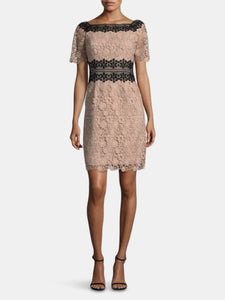 Colorblocking Lace Dress in Champagne