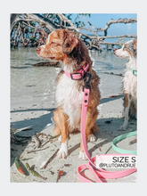 Load image into Gallery viewer, Waterproof Collar - Pink