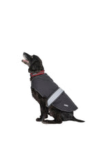 Load image into Gallery viewer, Butch Touch Fastening Softshell Dog Jacket (S)