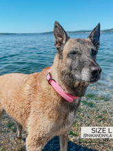 Load image into Gallery viewer, Waterproof Collar - Pink