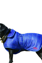 Load image into Gallery viewer, Weatherbeeta Tweed Dog Coat II (Navy) (21.6in) (21.6in)