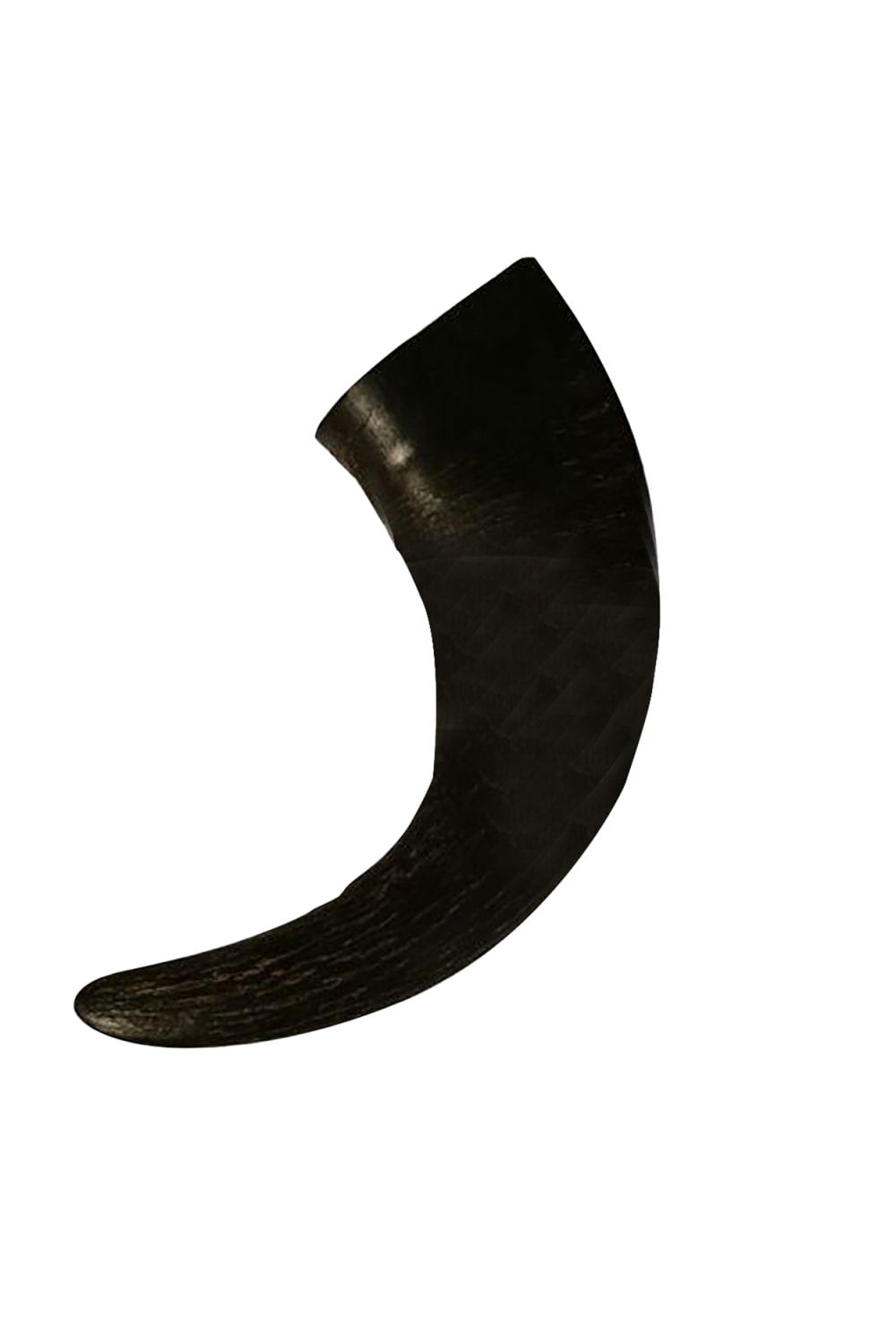 Antos Buffalo Horn Dog Chew Toy (Black) (L)