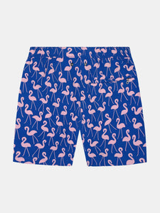 Mens Rose Flamingos Swim Shorts
