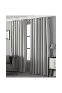 Riva Home Pendleton Ringtop Eyelet Curtains (Silver) (46 x 54in)