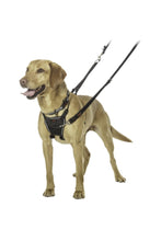Load image into Gallery viewer, Halti No Pull Dog Harness (Black) (Large)
