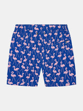 Load image into Gallery viewer, Mens Rose Flamingos Swim Shorts