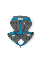 Load image into Gallery viewer, Ancol Padded Dog Harness (Gray/Blue) (14.17in - 16.54in)