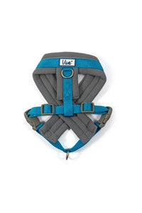 Ancol Padded Dog Harness (Gray/Blue) (14.17in - 16.54in)