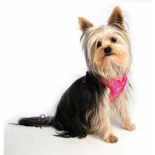 Load image into Gallery viewer, Rogz Lapz Trendy Wrapz Harness (Pink Bones) (12 - 17in)