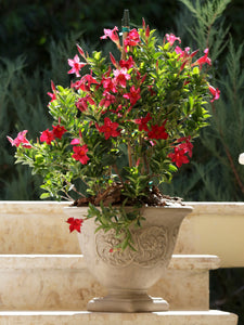 Sunnydaze Darcy Double-Walled Flower Pot Planter