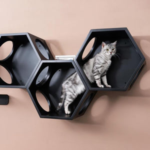 BusyCat Wall Mounted Cat Bed - Black