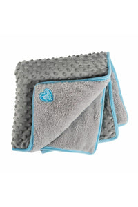 Ancol Pocket Dog Blanket (Gray/Blue) (60cm x 60cm)