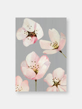 Load image into Gallery viewer, Art Print:  Cherry Blossoms on Grey