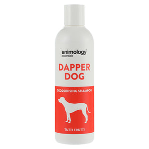 Animology Essentials Dapper Dog Shampoo (Orange) (250ml)