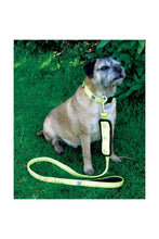 Load image into Gallery viewer, Woofmasta Flash Dog Lead (Yellow) (S/M)
