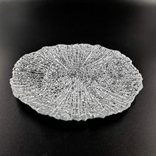 Load image into Gallery viewer, CORAL Set/4 8.5&quot; Salad Plates