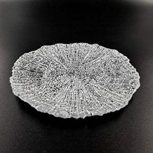 CORAL Set/4 8.5" Salad Plates