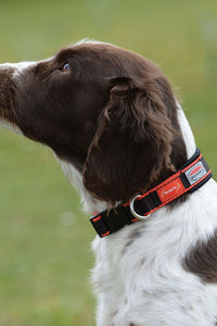 Weatherbeeta Therapy-Tec Dog Collar