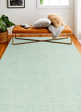 Load image into Gallery viewer, Vestige Area Rug V106-DR04 - Aqua