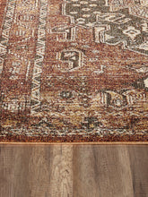 Load image into Gallery viewer, Abani Mesa  Medallion Distressed Area Rug