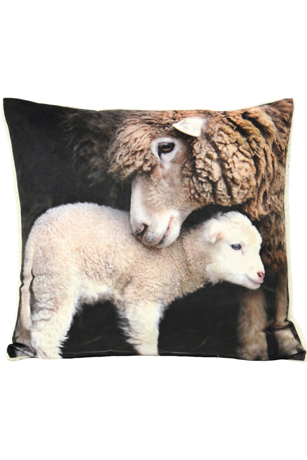 Riva Home Sherpa Lamb Cushion Cover (Multicolored) (20 x 20 inch)