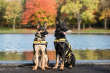 Load image into Gallery viewer, US Army Dog Life Vest