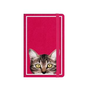 Inquisitive Creatures Kitten A6 Notebook (Pink) (A6)