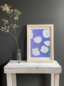 Art Print:  White Poppies on Violet