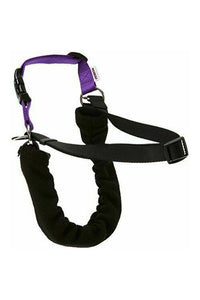 Ancol Pet Products Pure Dog Listeners Harness And Lead Set With DVD (Black) (Large)