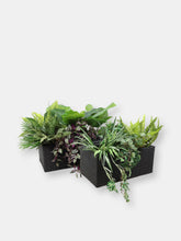 Load image into Gallery viewer, 2-Section Polyrattan Rectangle Indoor Planters