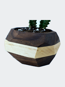 Geometric Cactus & Succulent Planter