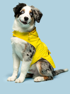 Yellow Packaway Raincoat