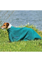 Load image into Gallery viewer, Weatherbeeta Dry-dog Bag (Hunter Green) (XS)