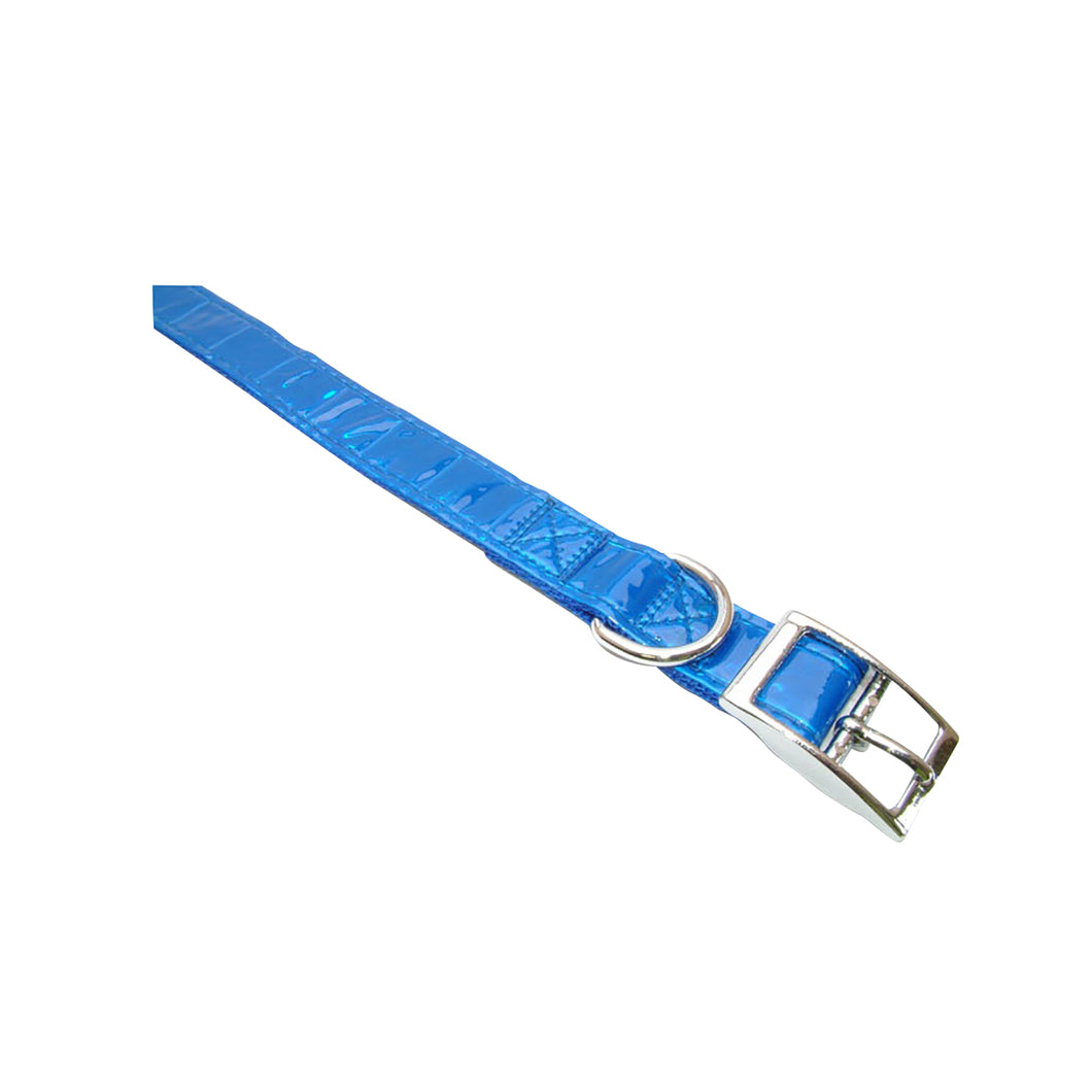 Vital Pet Products Patent Dog Collar (Blue) (1in x 27.5in)