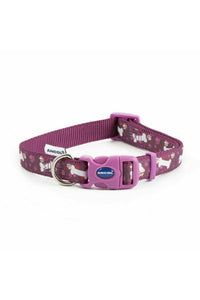 Ancol Fashion Dog Collar (Purple) (11.81in - 19.69in)