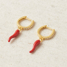 Load image into Gallery viewer, Spicy Earrings