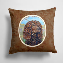 Load image into Gallery viewer, 14 in x 14 in Outdoor Throw PillowIrish Water Spaniel  Fabric Decorative Pillow
