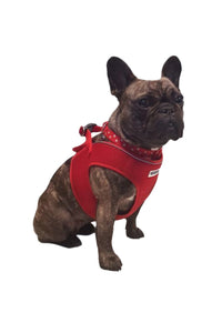 Ancol Step-in Dog Harness (Red) (13.78in - 16.54in)