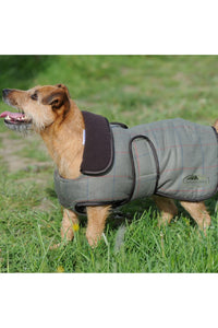 Weatherbeeta Tweed Dog Coat II (Olive) (23.6in) (23.6in)